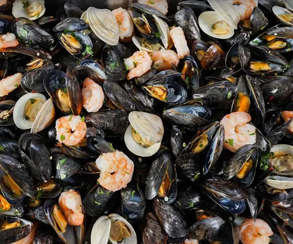 carousel-seafood
